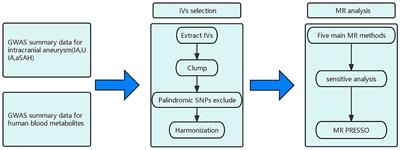 Causal relationships between human blood metabolites and intracranial aneurysm and aneurysmal subarachnoid hemorrhage: a Mendelian randomization study